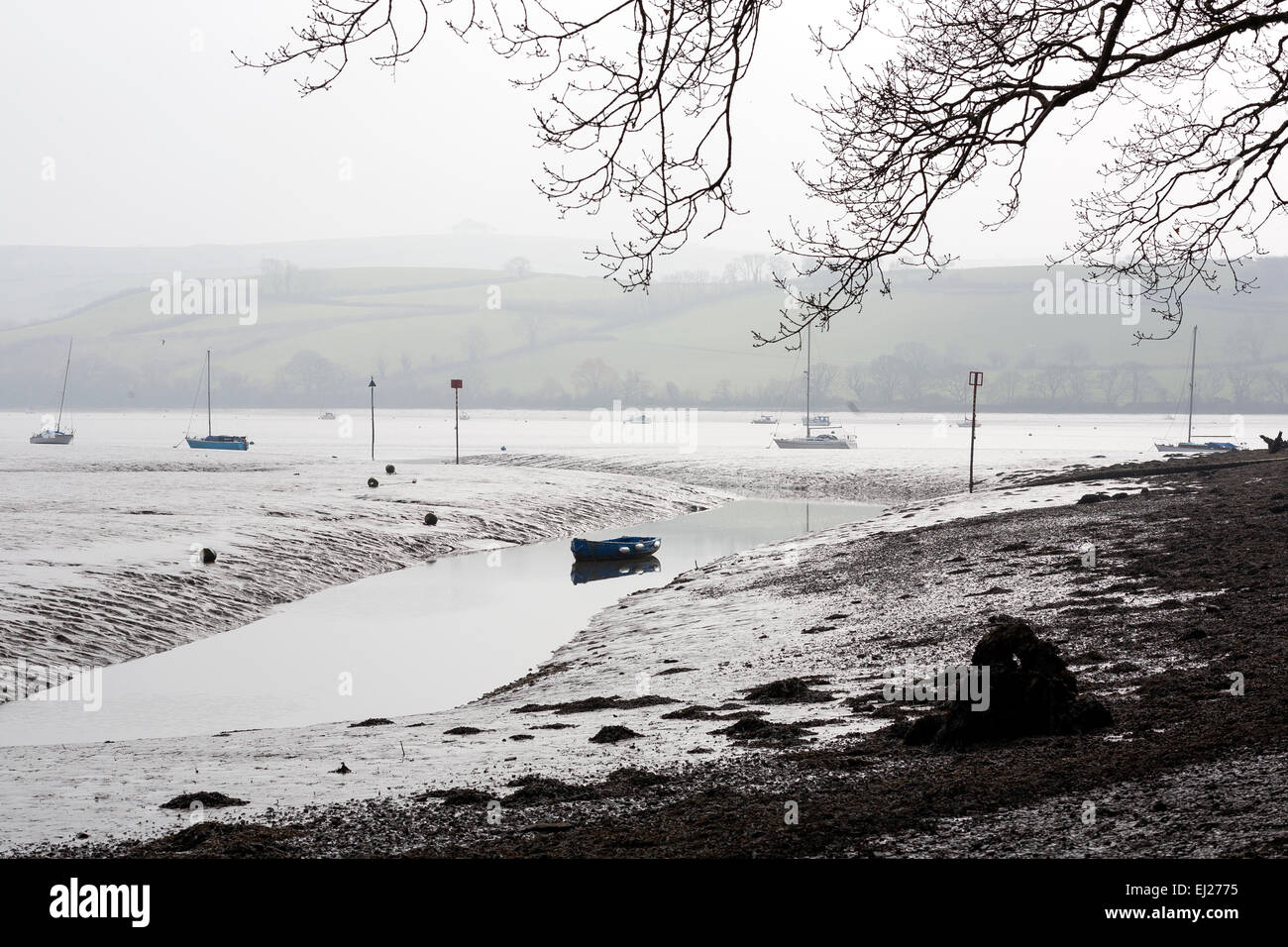 Molla di bassa marea a Stoke Gabriel South Hams Devon,creek,fundus, Foto Stock