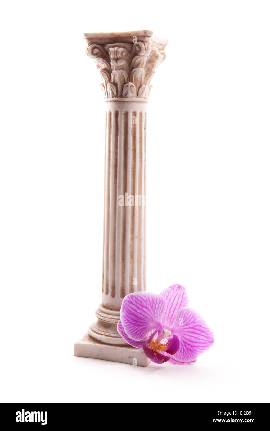 Colonna classica con fiore Foto Stock