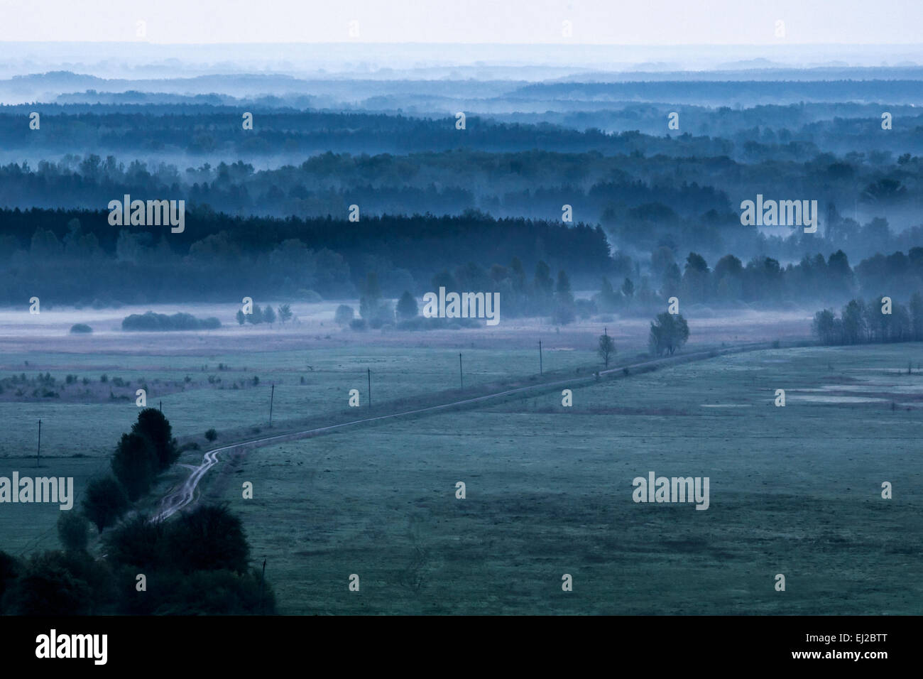 Mattina campo di nebbia al mattino. Foto Stock