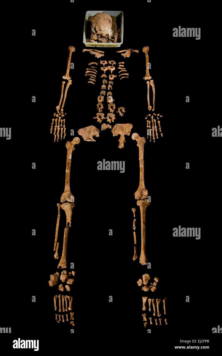 Protostoria scheletro femminile a Batujaya sito archeologico in Karawang, West Java, Indonesia. Foto Stock