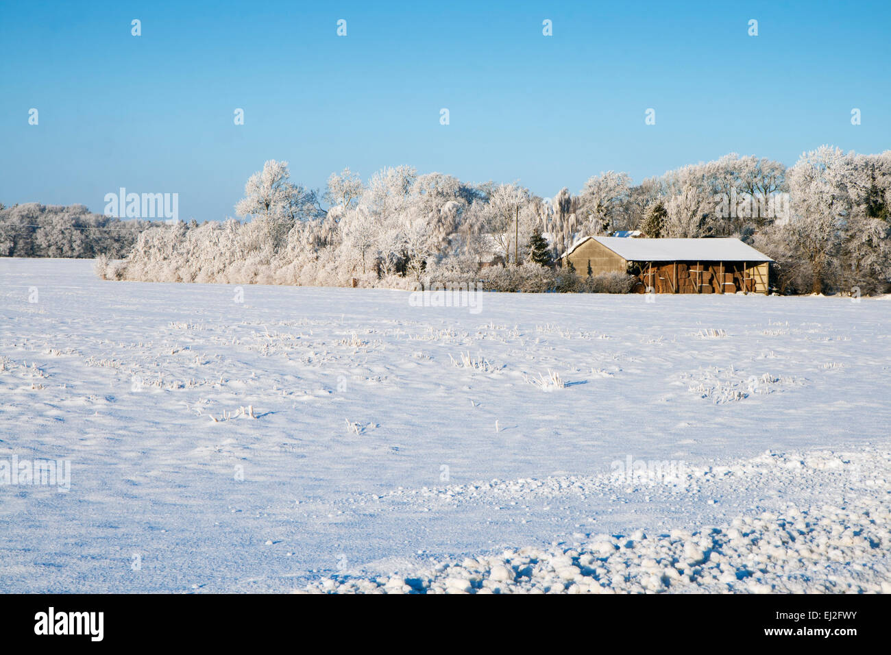 Fienile nella neve con piccola foresta nella parte posteriore Foto Stock