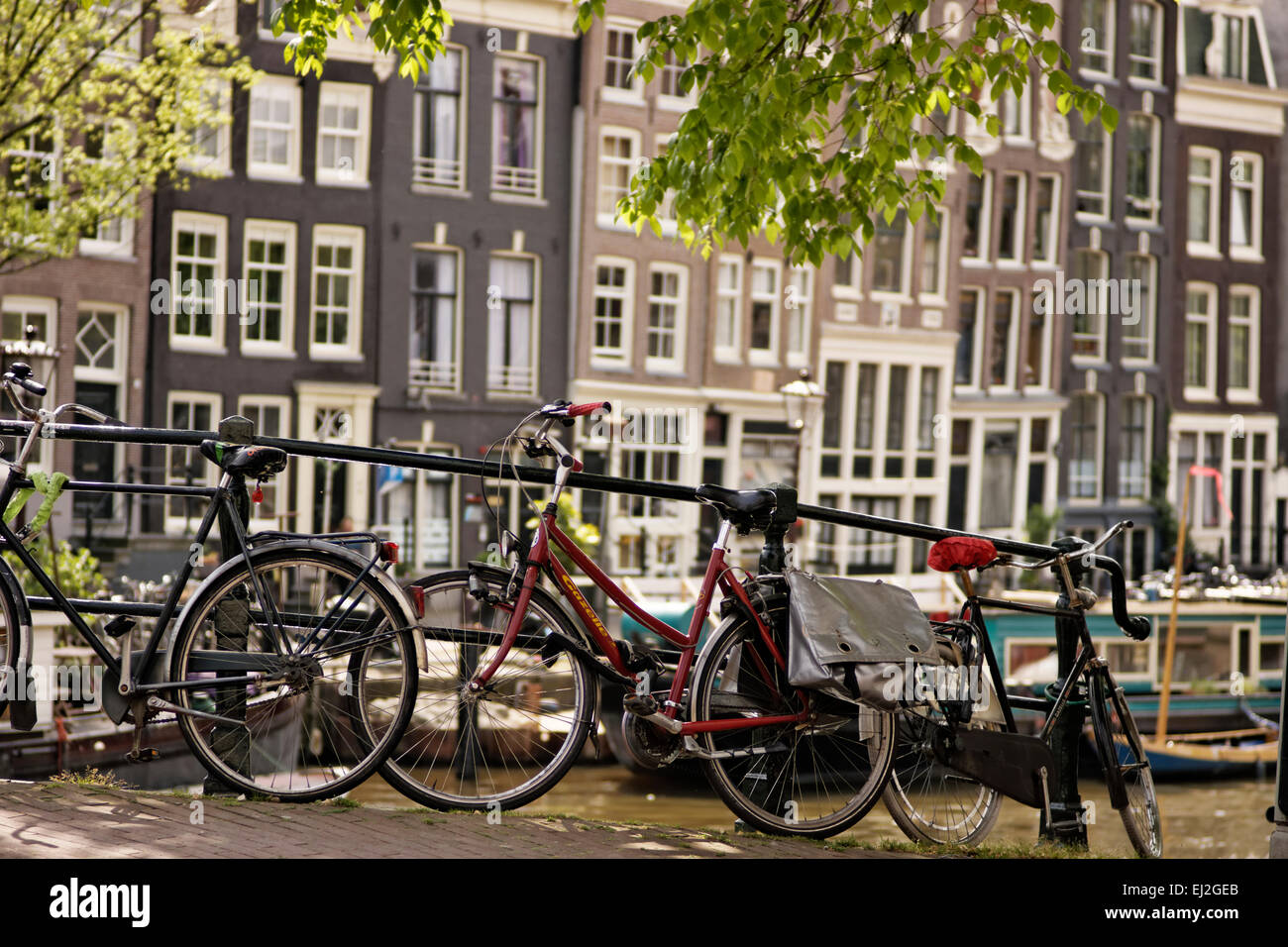 Biciclette bloccato ad un ponte nel quartiere Jordaan di Amsterdam, Olanda. Foto Stock