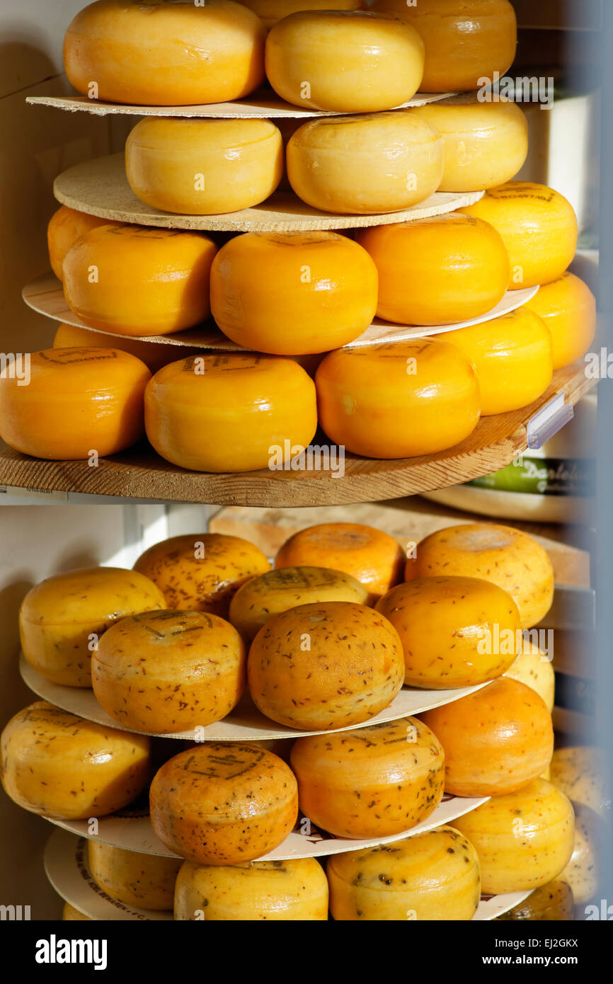 Negozio di formaggi ad Amsterdam, in Olanda. Foto Stock