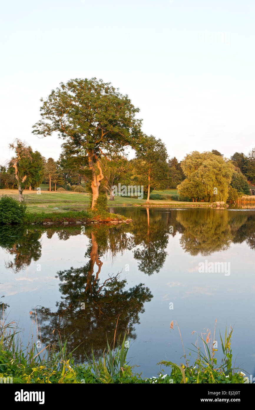 La riflessione in un lago al tramonto. Colpo da al parco su Fyn, Danimarca Foto Stock