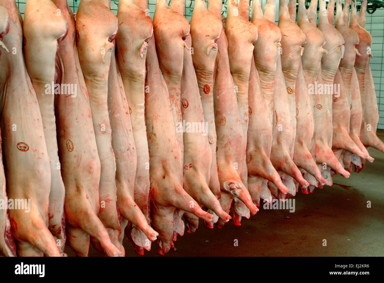 I lati della carne di maiale in celle frigorifere Foto Stock