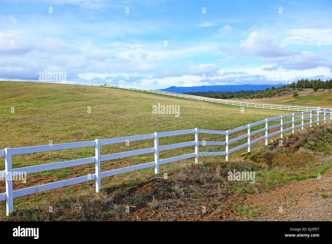 Una bianca lunga rotaia ranch recinzione che circonda un cavallo pascolo di Tumalo, Oregon Foto Stock