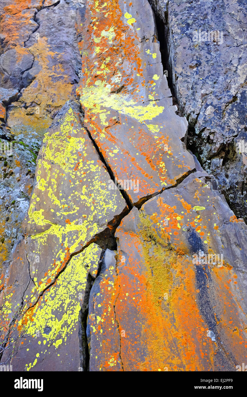 Vivacemente colorato licheni decorare una grande scogliera di basalto di fronte alle pendici dei monti Cascade di Oregon centrale Foto Stock