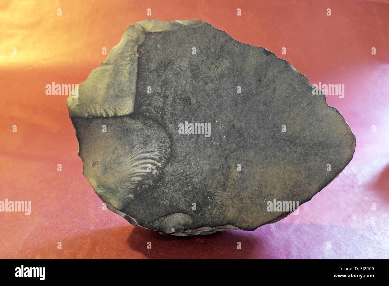 Una mano Anasazi ax o utensile di scavo dal Pueblo periodo ho realizzato da basalto, 750 e 900 D.C. Foto Stock