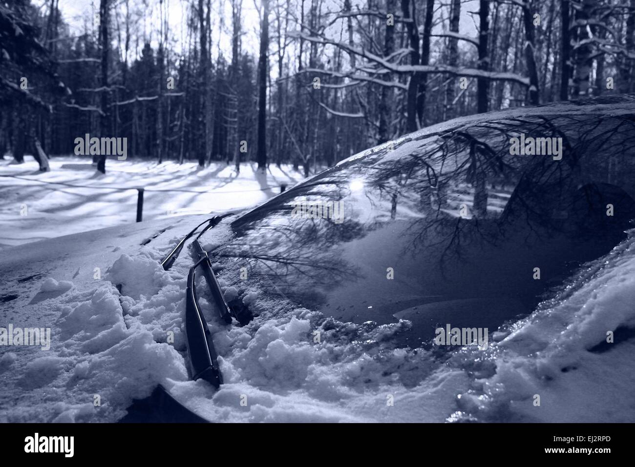 Inverno in strada innevato paesaggio forestale Foto Stock