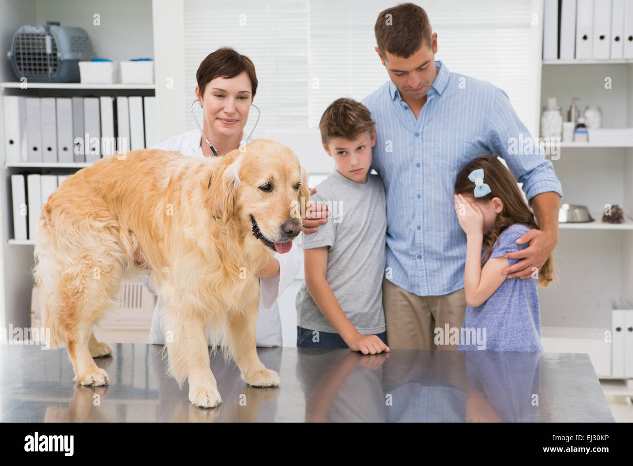 Sorridente vet esaminando un cane con la sua paura di proprietari Foto Stock