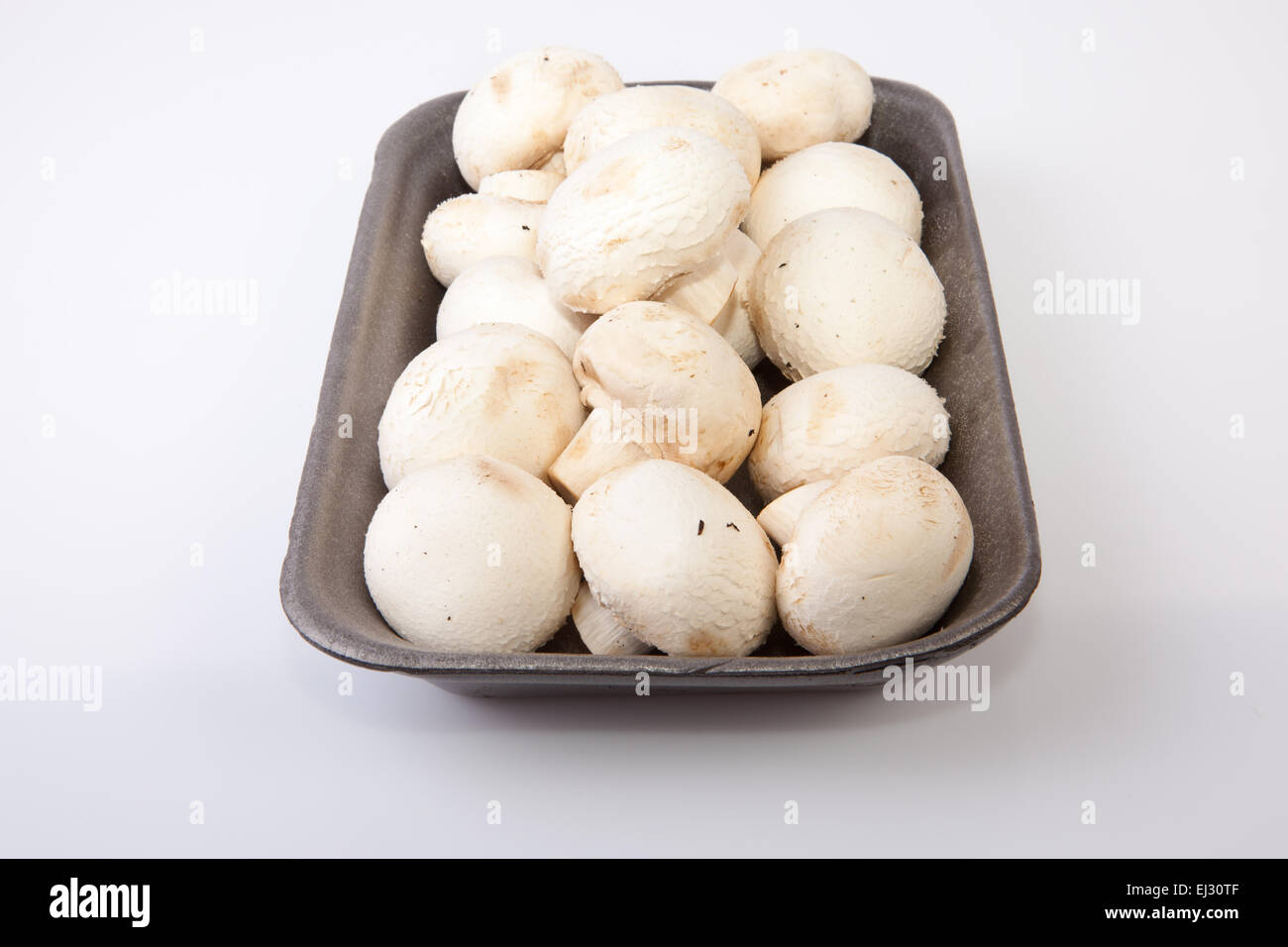 Bianco di funghi freschi in nero vassoio di plastica. Isolato su sfondo bianco Foto Stock