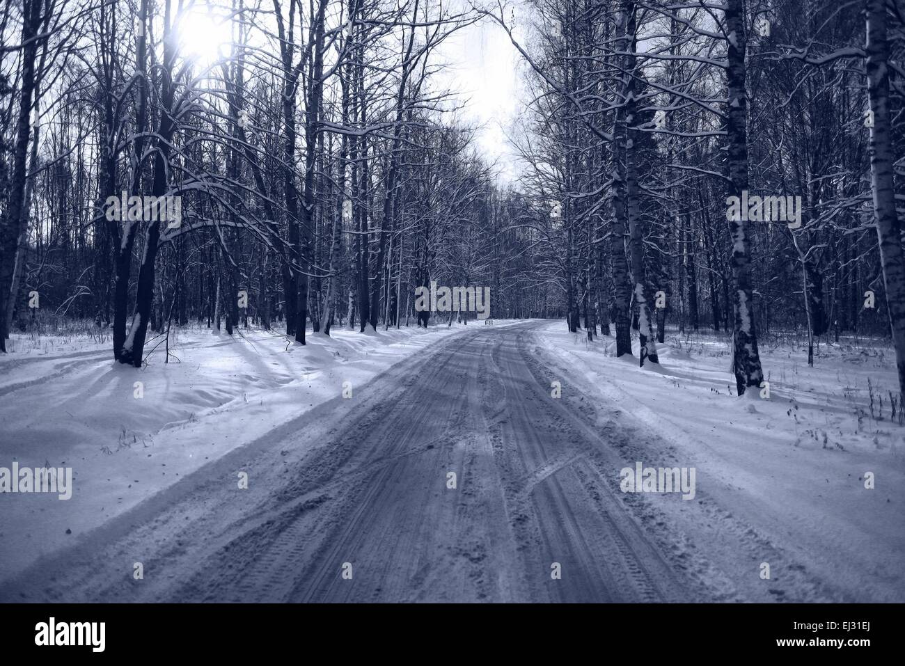 Inverno in strada innevato paesaggio forestale Foto Stock