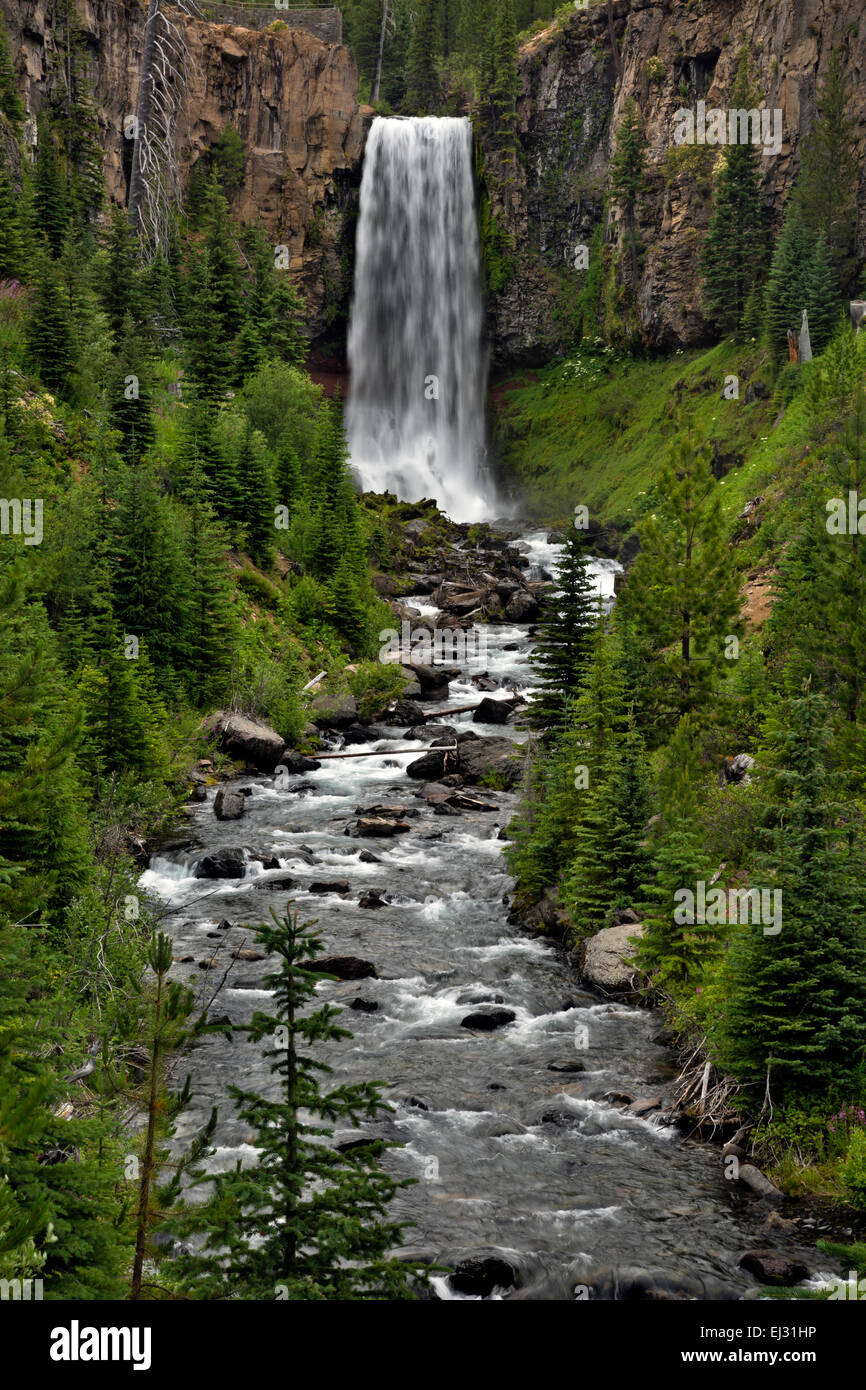 O01768-00...OREGON - Tumalo cade sulla forcella del nord Bridge Creek in Deschutes National Forest vicino a piegare. Foto Stock