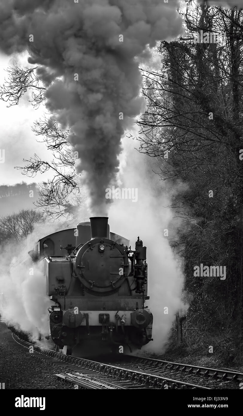 Tk+1 2944 su un lieve pendio di vaporizzazione di consall forge station Churnet Valley Railway. Foto Stock