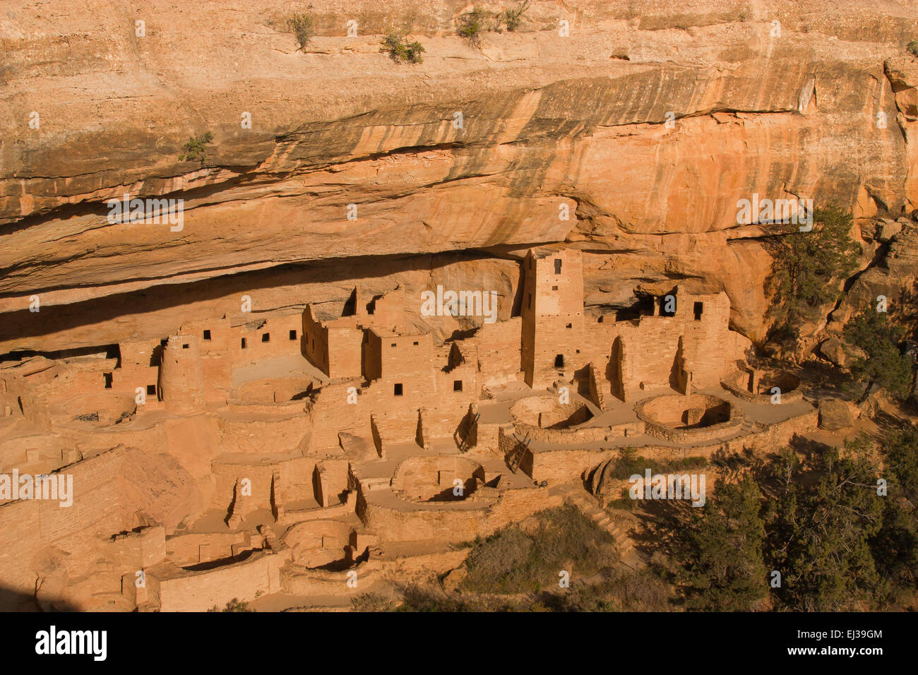 Il Cliff Palace, Mesa Verde National Park, COLORADO, Stati Uniti d'America Foto Stock