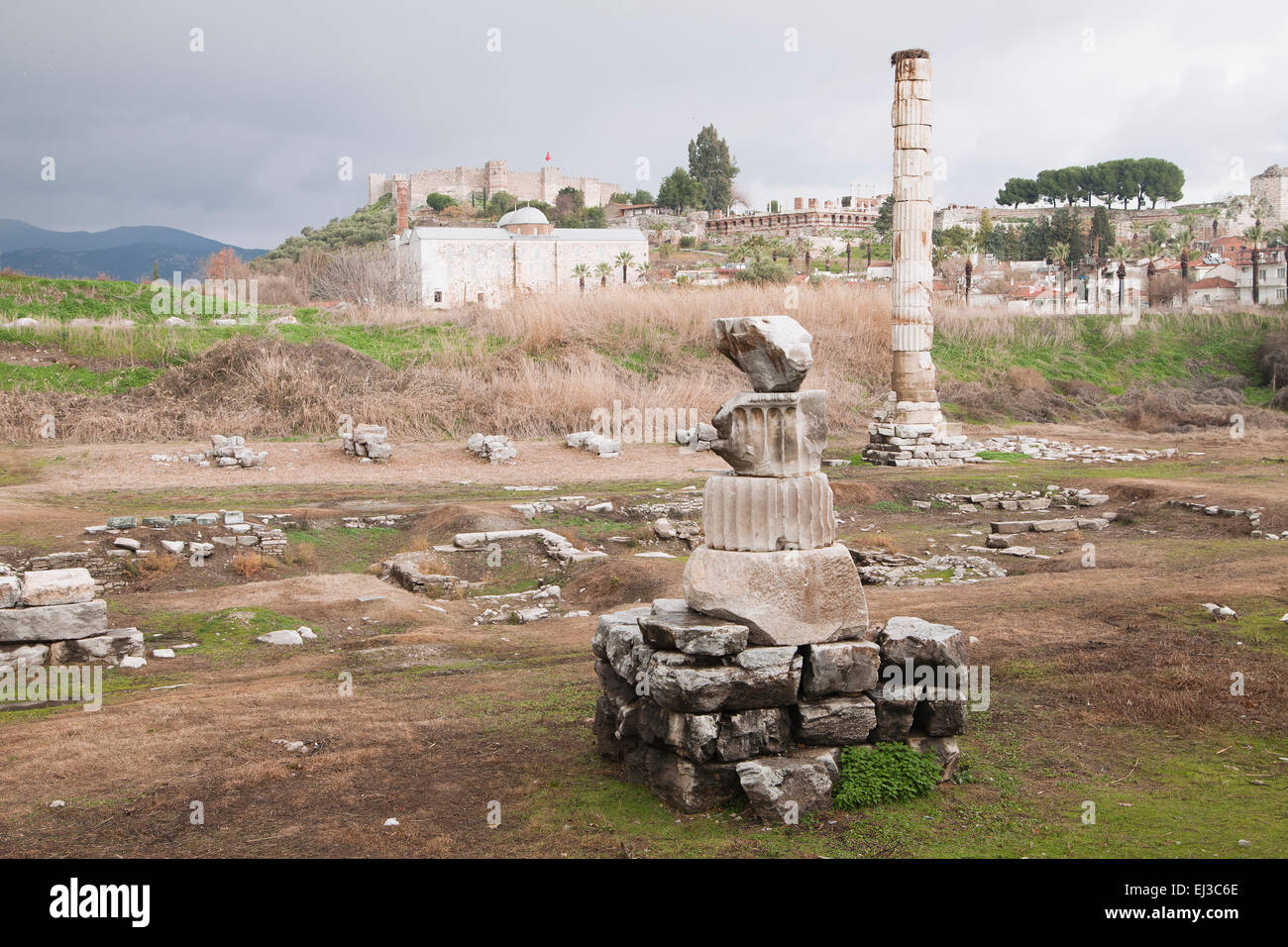 Rovine di Artemision di Efeso, Turchia Foto Stock