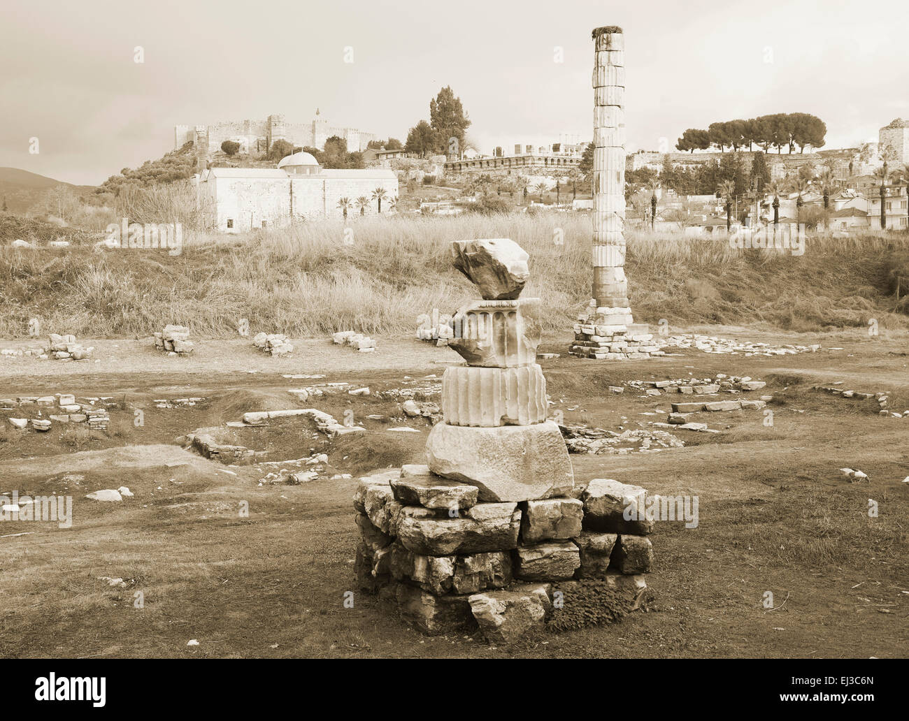 Rovine di Artemision di Efeso, Turchia Foto Stock