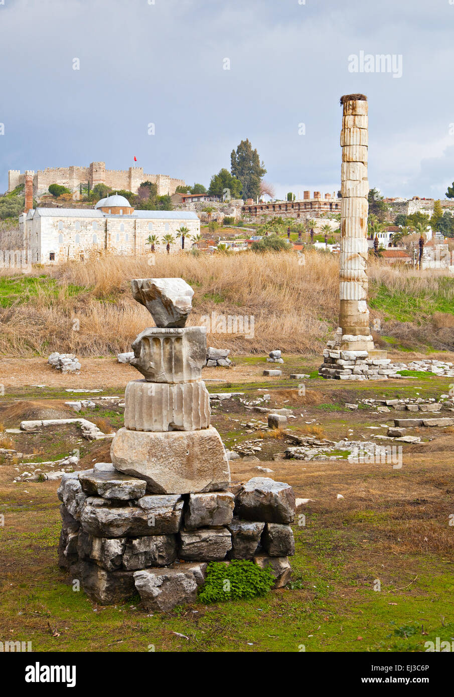 Rovine di Artemision di Efeso, Turchia Foto Stock