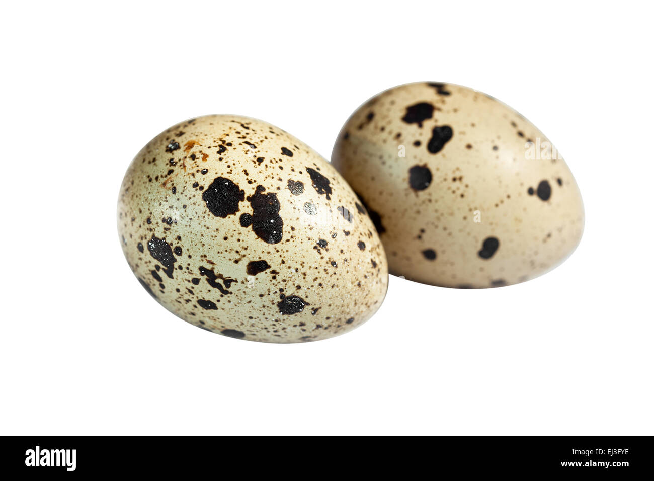 Uova di quaglia isolato sul ritaglio bianco Foto Stock