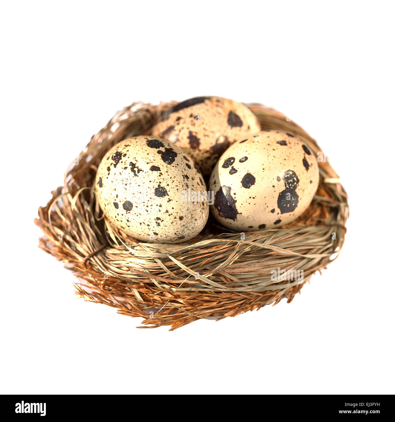 Nido di uccelli con uova isolato su bianco Foto Stock