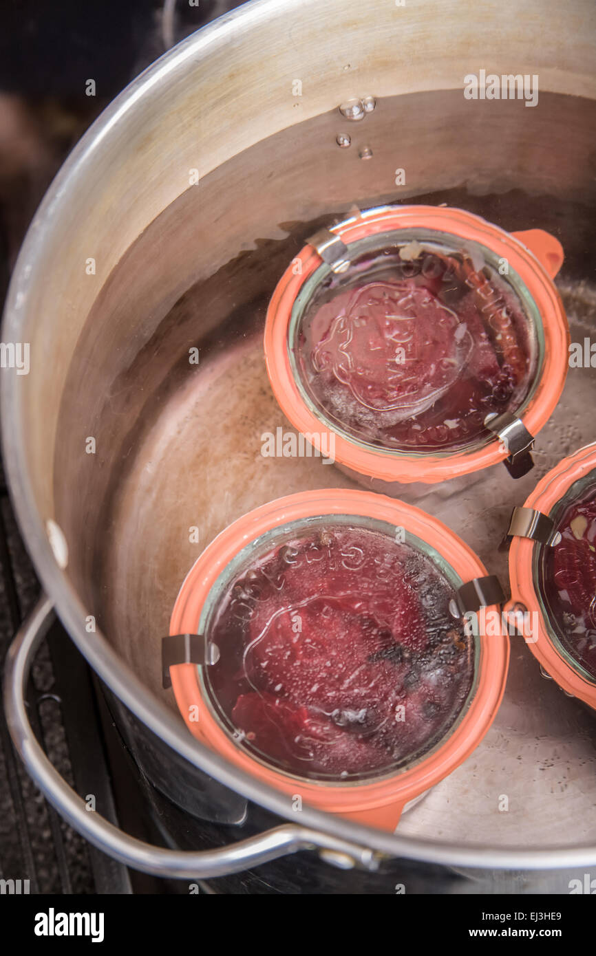 Weck barattoli di barbabietole sottaceto in fase di elaborazione in un bagno di acqua bollente per 35 minuti. Foto Stock
