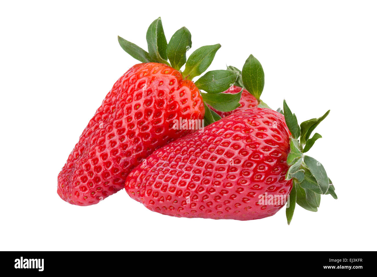 Fragole fresche macro su bianco Foto Stock