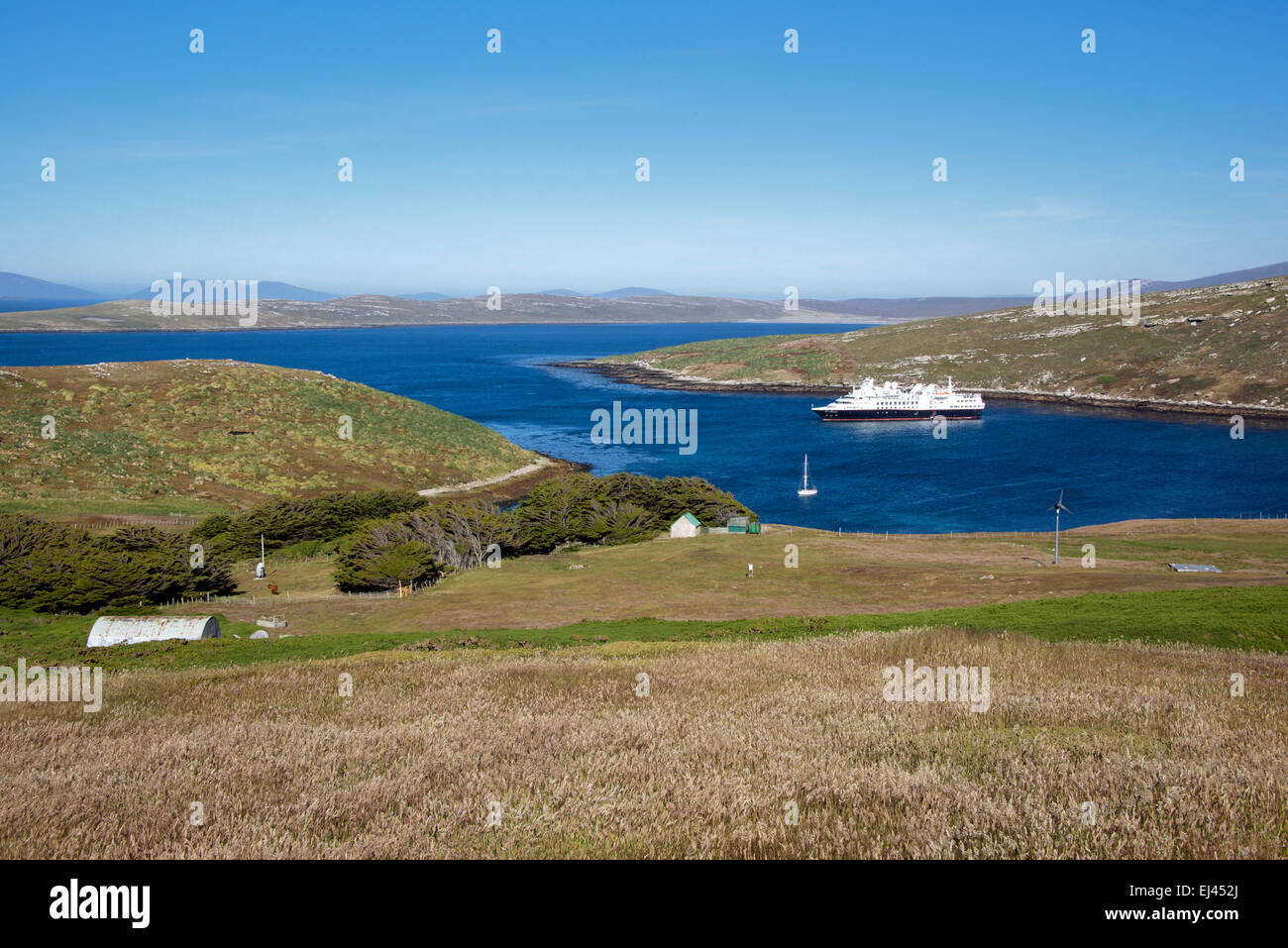 Fattoria con ormeggiata la nave di crociera West Point Island Isole Falkland Foto Stock