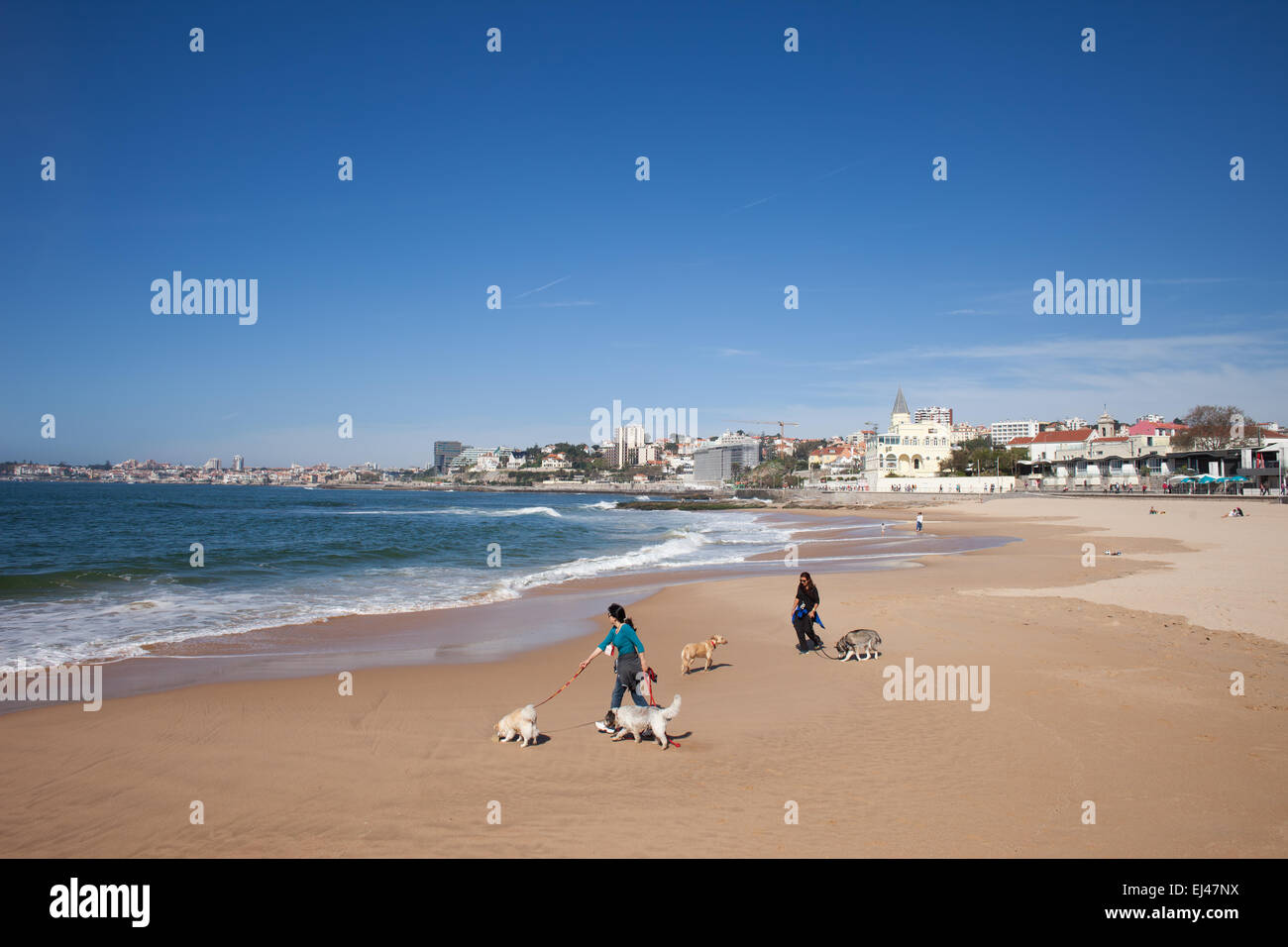 Le donne a piedi i loro cani su una spiaggia a Estoril, Portogallo. Foto Stock