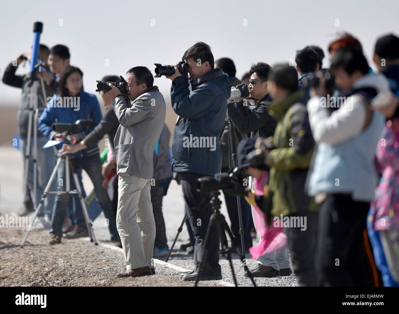 Tianjin, Cina. Xxi Mar, 2015. La gente guarda gli uccelli migratori al Beidagang zona umida di Tianjin, Cina del nord, 21 marzo 2015. La zona umida del personale amministrativo ha registrato più di 6 mila uccelli migratori qui, come il tempo si fa più caldo. © Yue Yuewei/Xinhua/Alamy Live News Foto Stock