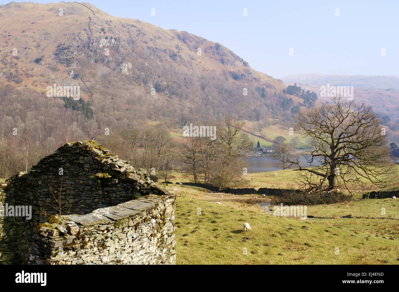 Vista guardando verso il basso e verso la Rydal acqua, Lake District, England, Regno Unito Foto Stock