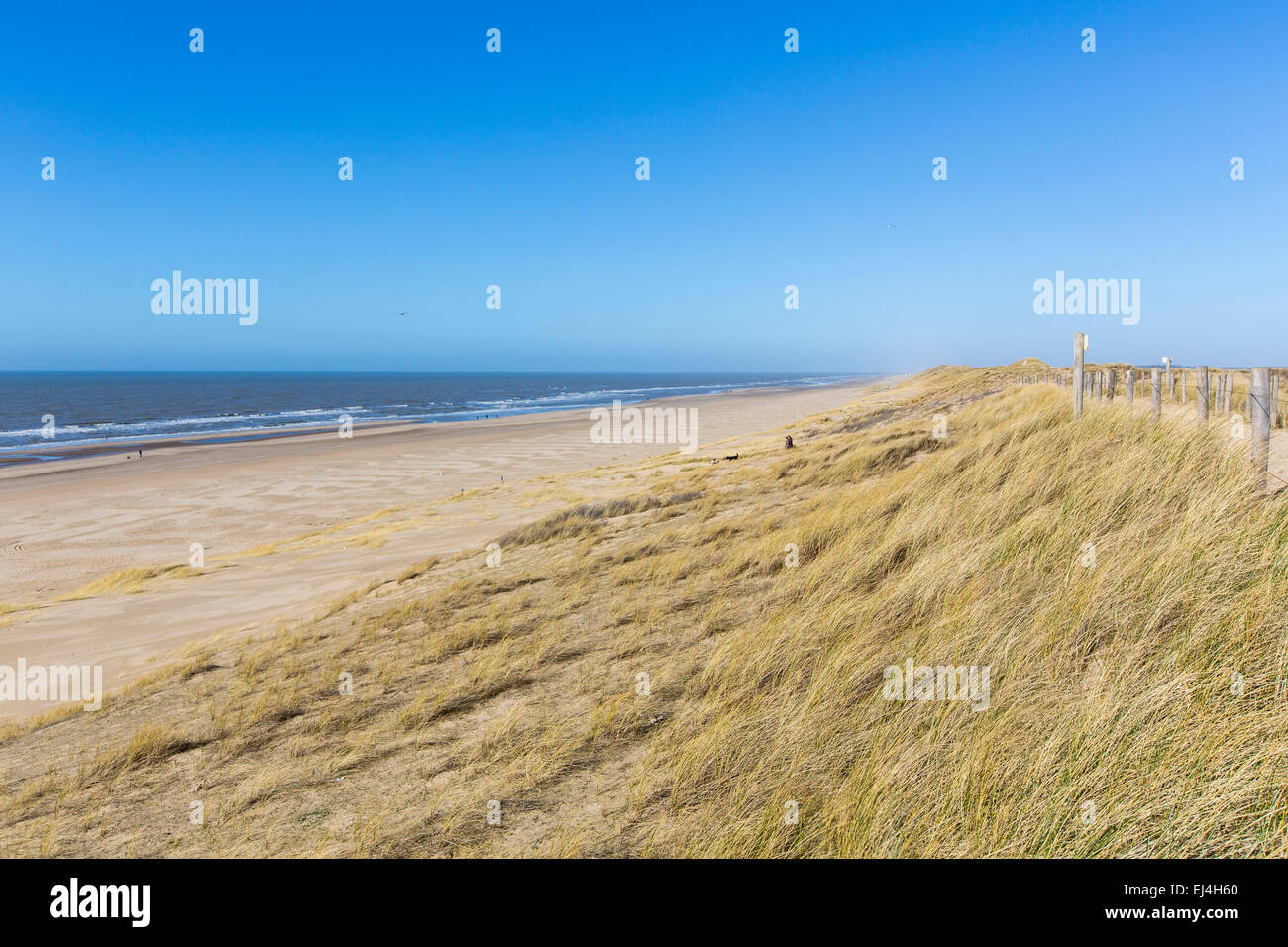 Egmond aan Zee, North Holland, Paesi Bassi, costa del Mare del Nord, delle spiagge di sabbia, Foto Stock