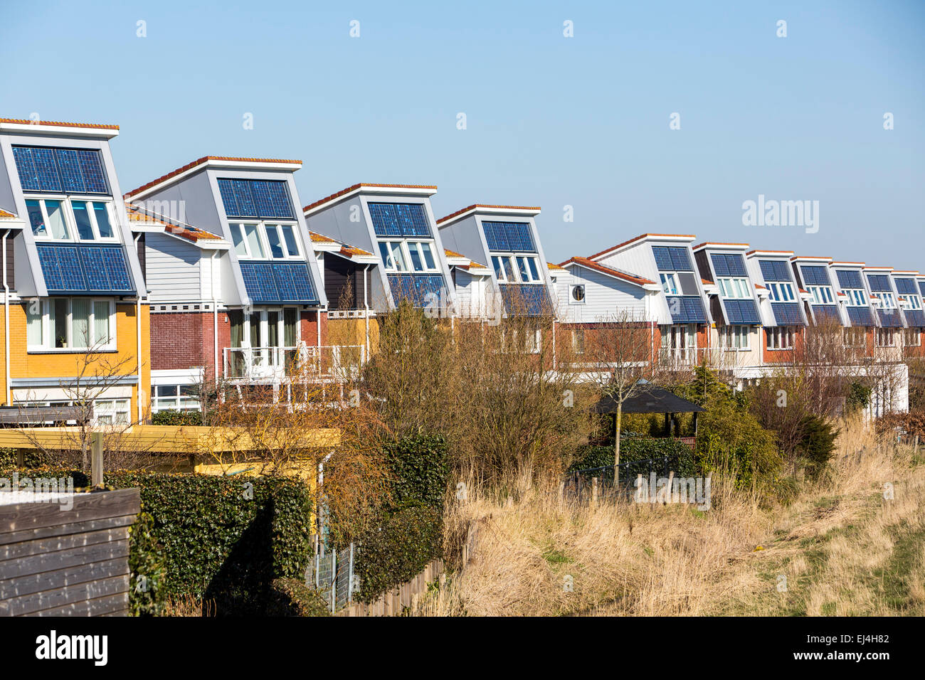 Sviluppo di alloggiamento in Egmond, North Holland, con built-in muri esterni moduli solari per la generazione di potenza Foto Stock