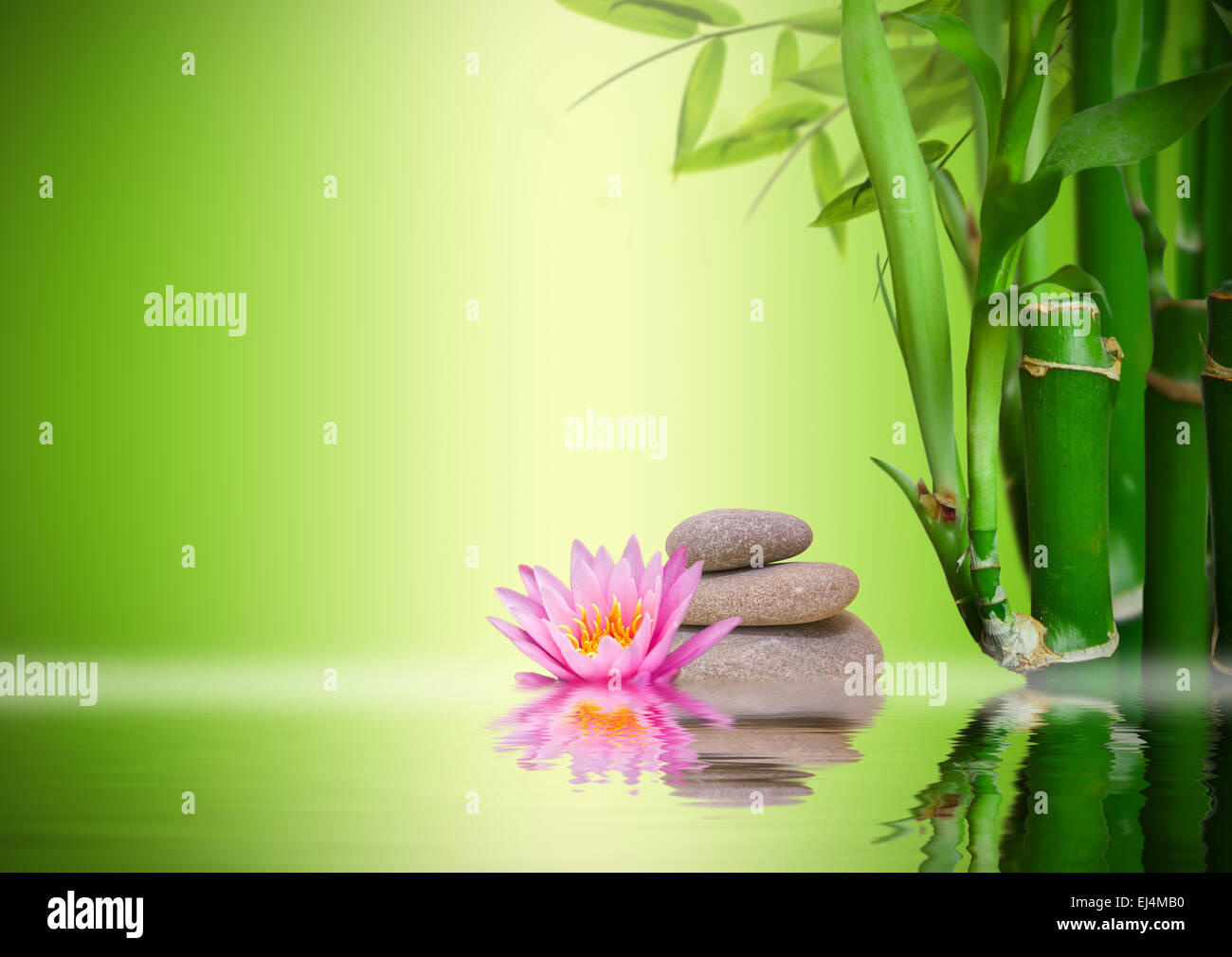 Giardino Zen Foto Stock