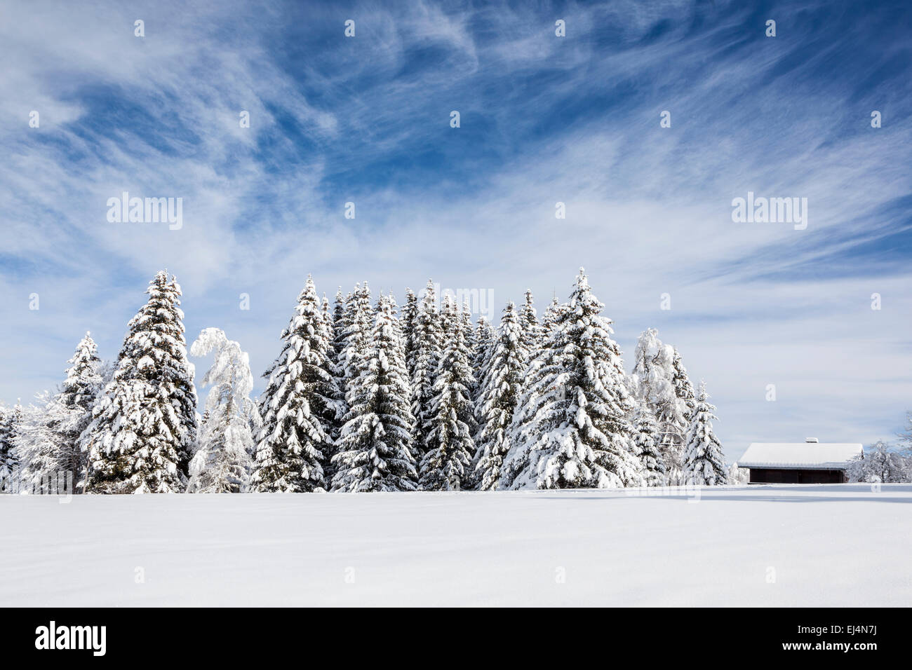 La Feclaz, Savoie, Rhône-Alpes, in Francia Foto Stock