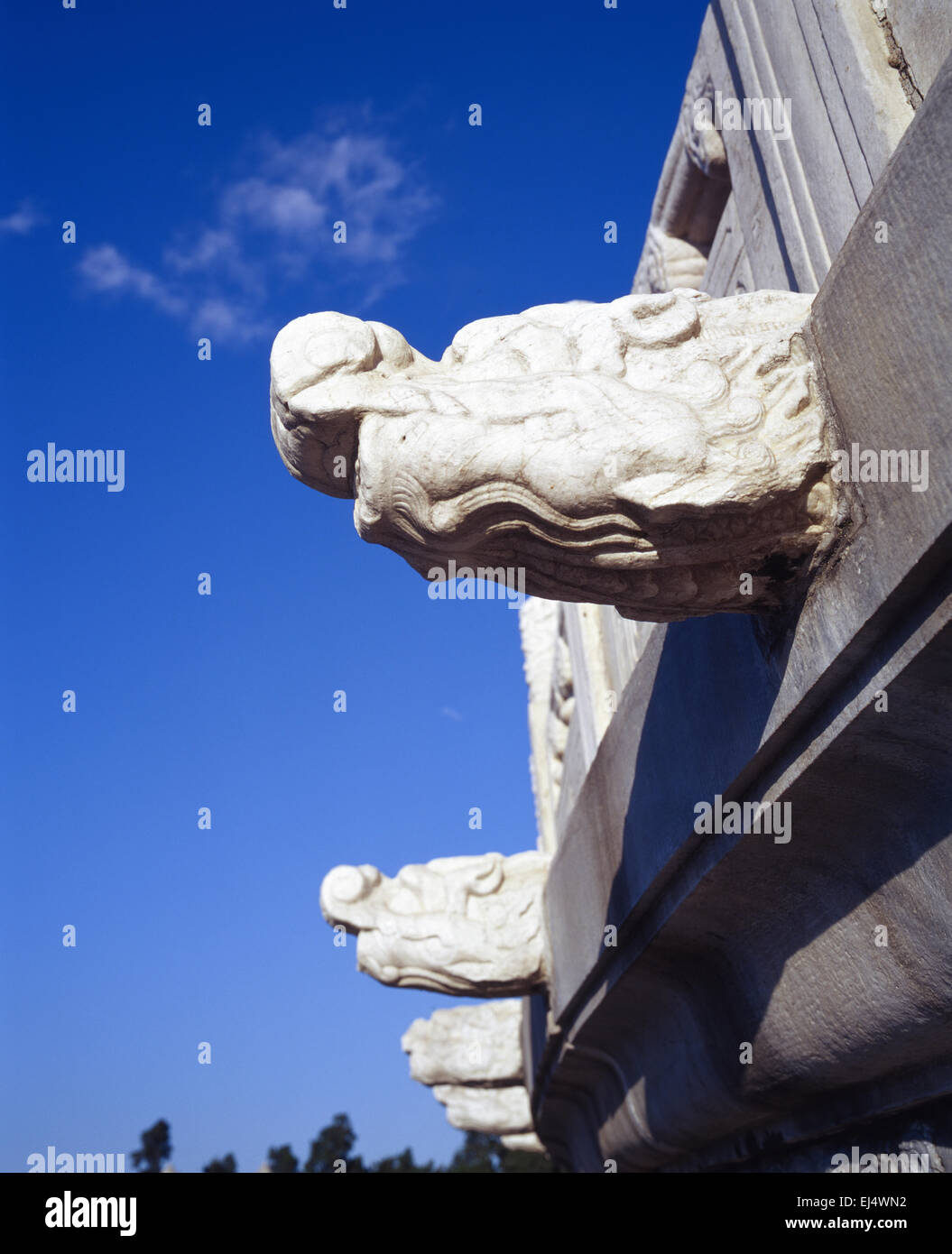 Cina Pechino Il Tempio del Cielo dettaglio della mitica creatura di marmo come un gargoyle becco di acqua con uno sfondo nero Foto Stock