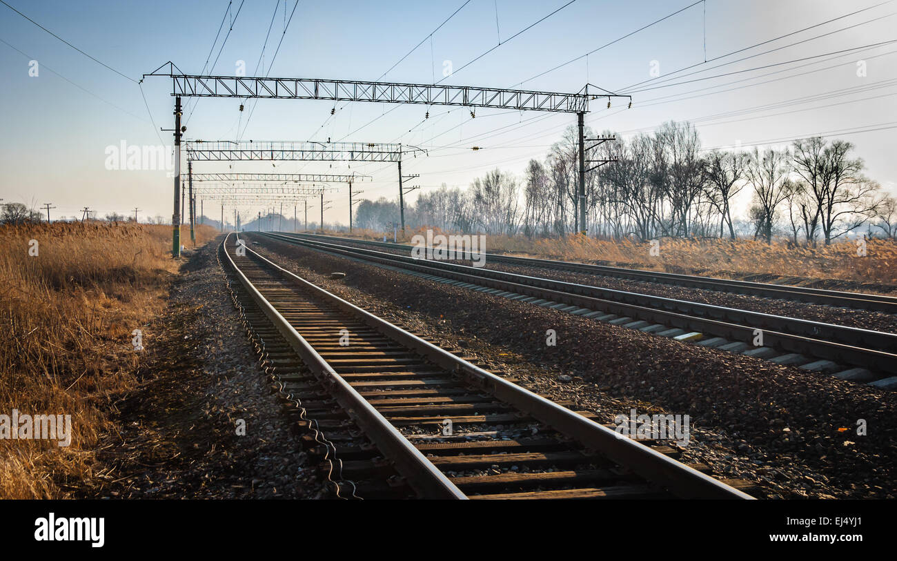 I binari della ferrovia che si protende nella distanza oltre l'orizzonte Foto Stock