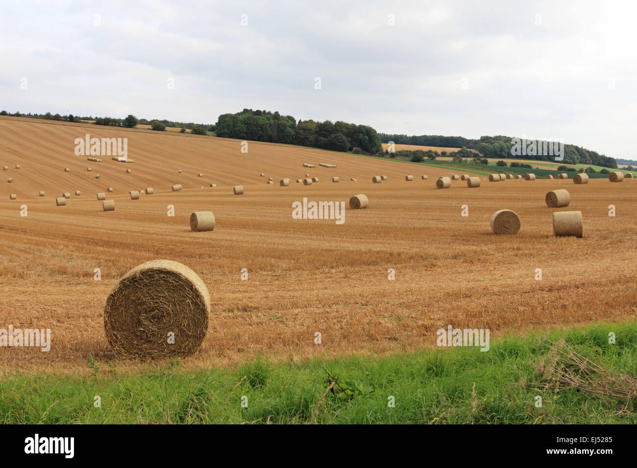 Le balle di fieno dopo il raccolto nella campagna Oxfordshire. England Regno Unito. Foto Stock