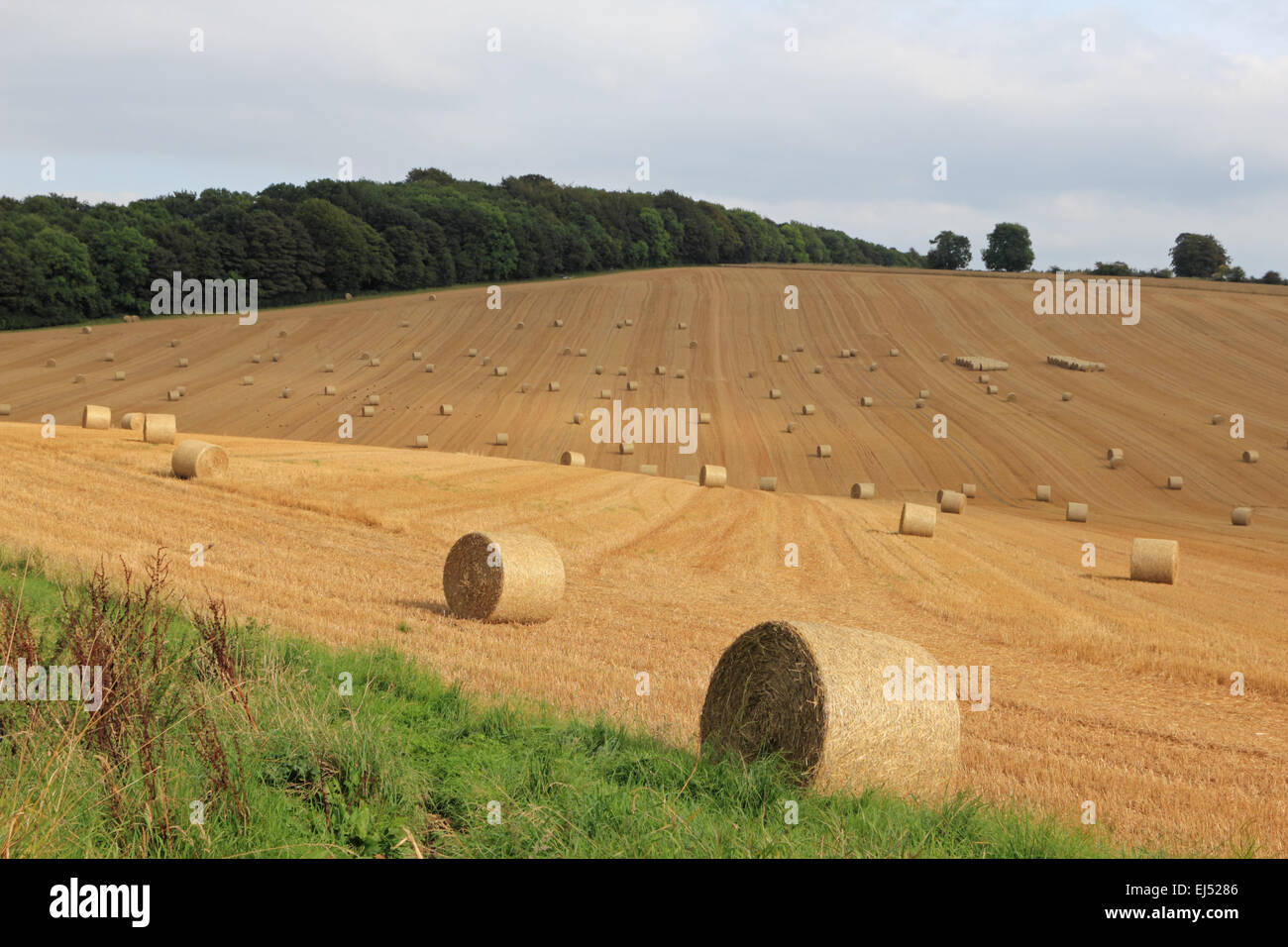 Le balle di fieno dopo il raccolto nella campagna Oxfordshire. England Regno Unito. Foto Stock