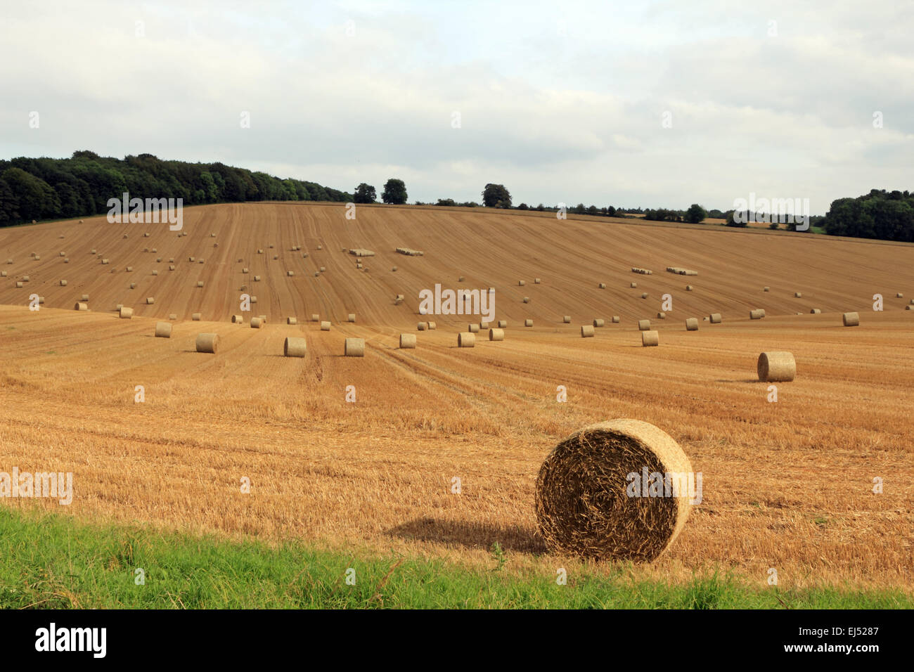 Le balle di fieno dopo il raccolto nella campagna Oxfordshire. England Regno Unito. Foto Stock