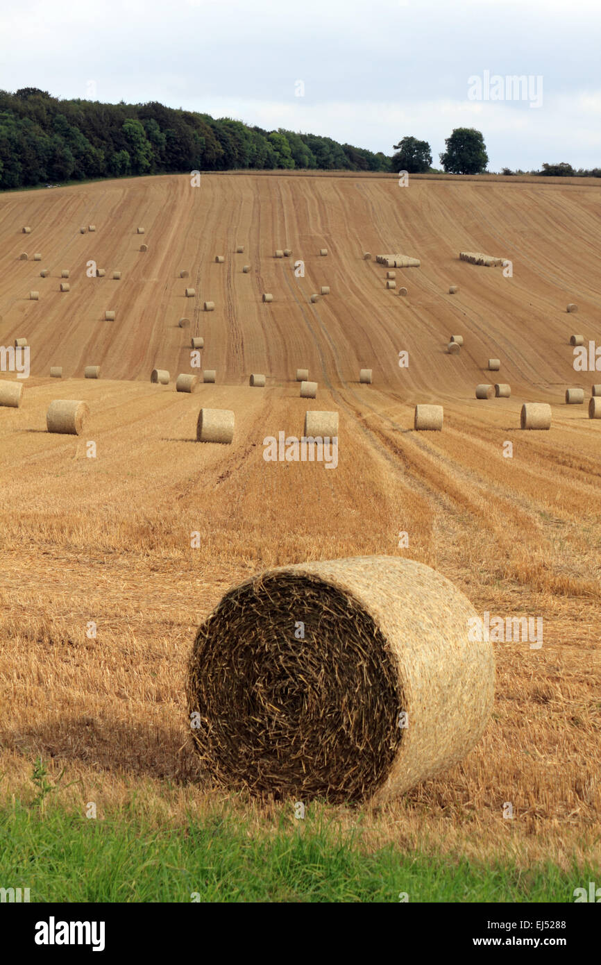 Le balle di fieno dopo il raccolto nella campagna Oxfordshire. England Regno Unito. Foto Stock