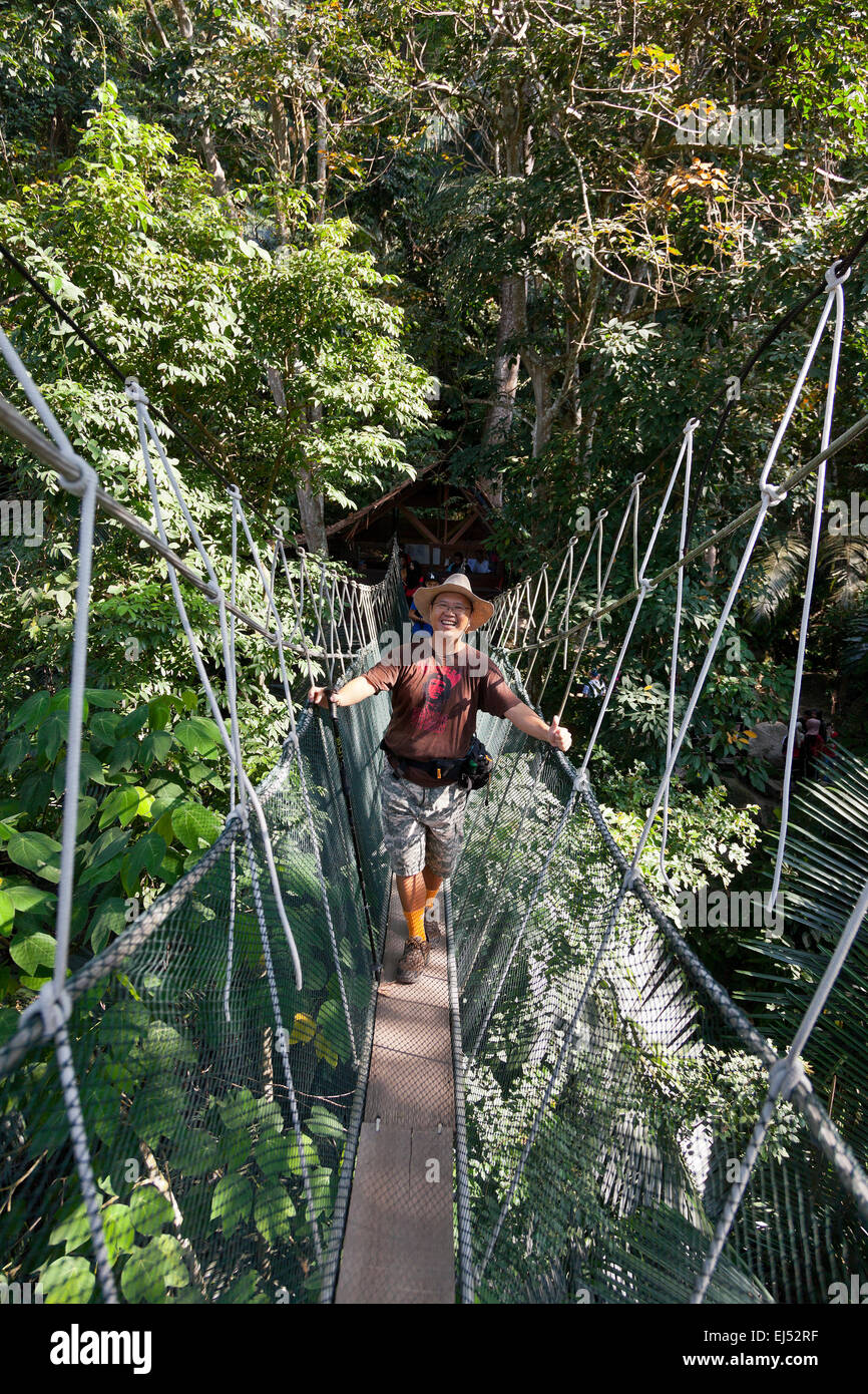 La foresta pluviale di albero superiore il pontile sodi Malaysia Foto Stock