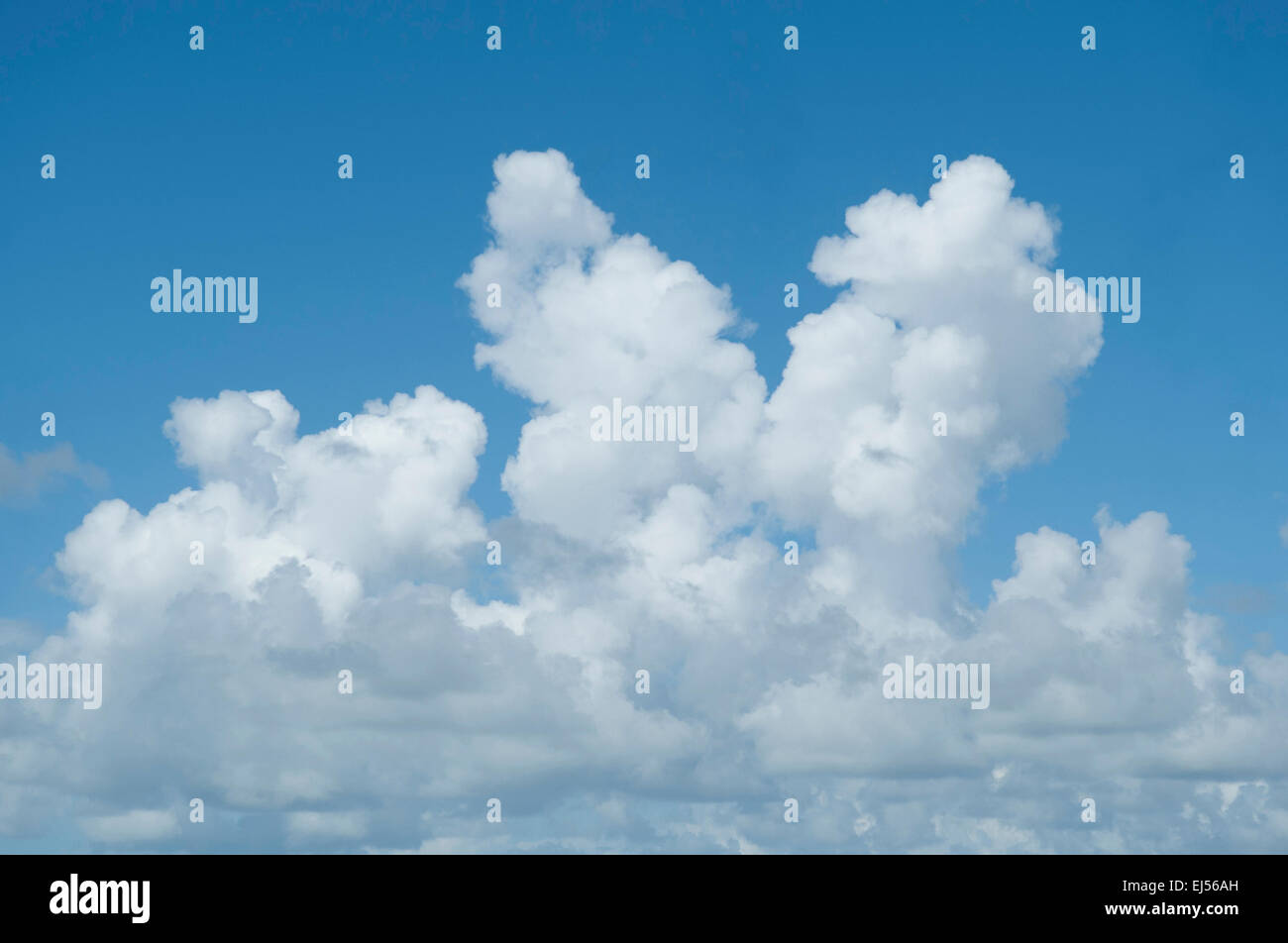 Puffy bianche nuvole nel cielo blu brillante Foto Stock