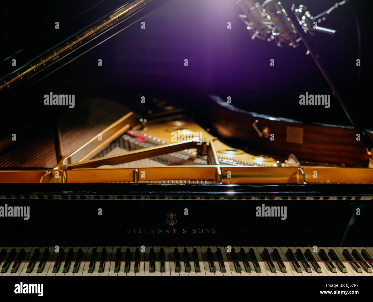 La Steinway Grand D (Amburgo) concert grand piano durante la sessione di registrazione. Due Neumann D-01 microfoni digitali. Foto Stock