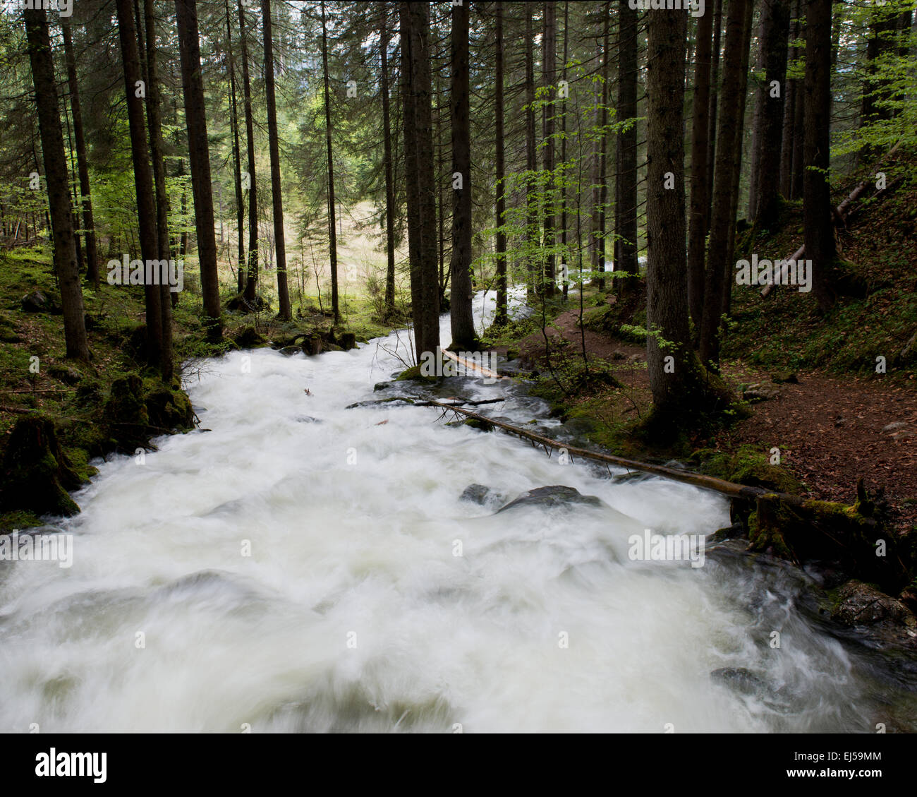 Strumern, Karstquelle bei Pichl-Kainisch, Salzkammergut, Stiria, Austria Foto Stock