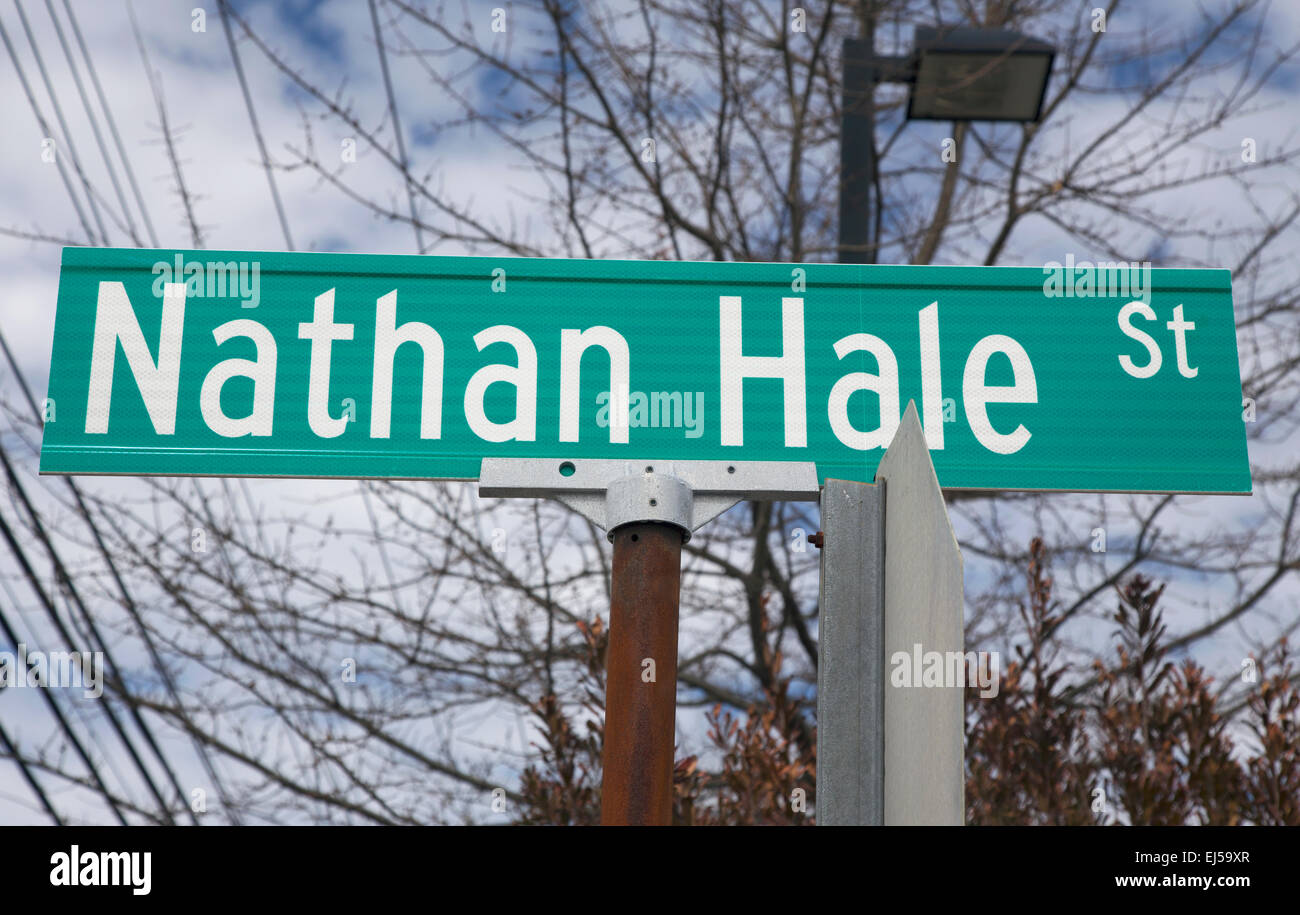 Nathan Hale strada segno Foto Stock