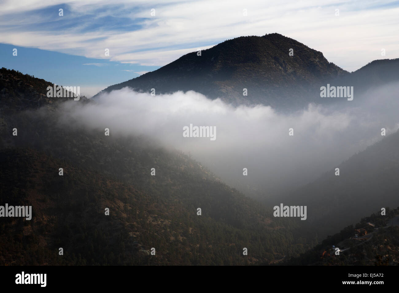 Mattina nuvole sotto le montagne, pino montano CALIFORNIA, STATI UNITI D'AMERICA Foto Stock