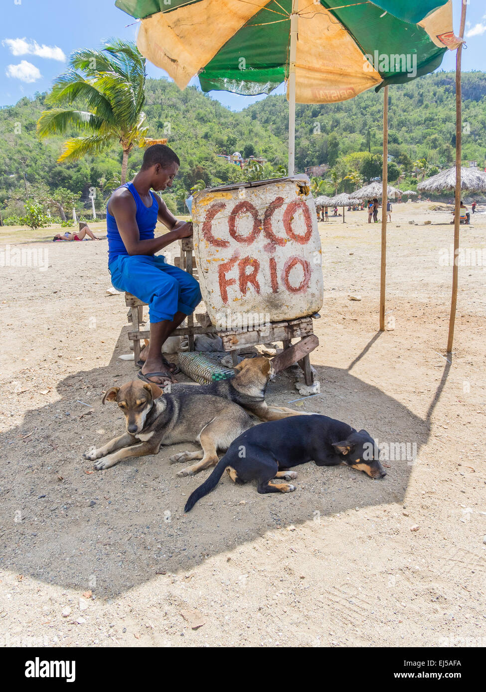 Un giovane maschio afro-cubane uomo si siede presso il suo stand sulla spiaggia di Siboney, Cuba la vendita di "Coco Frio' freddo fresco noci di cocco. Foto Stock