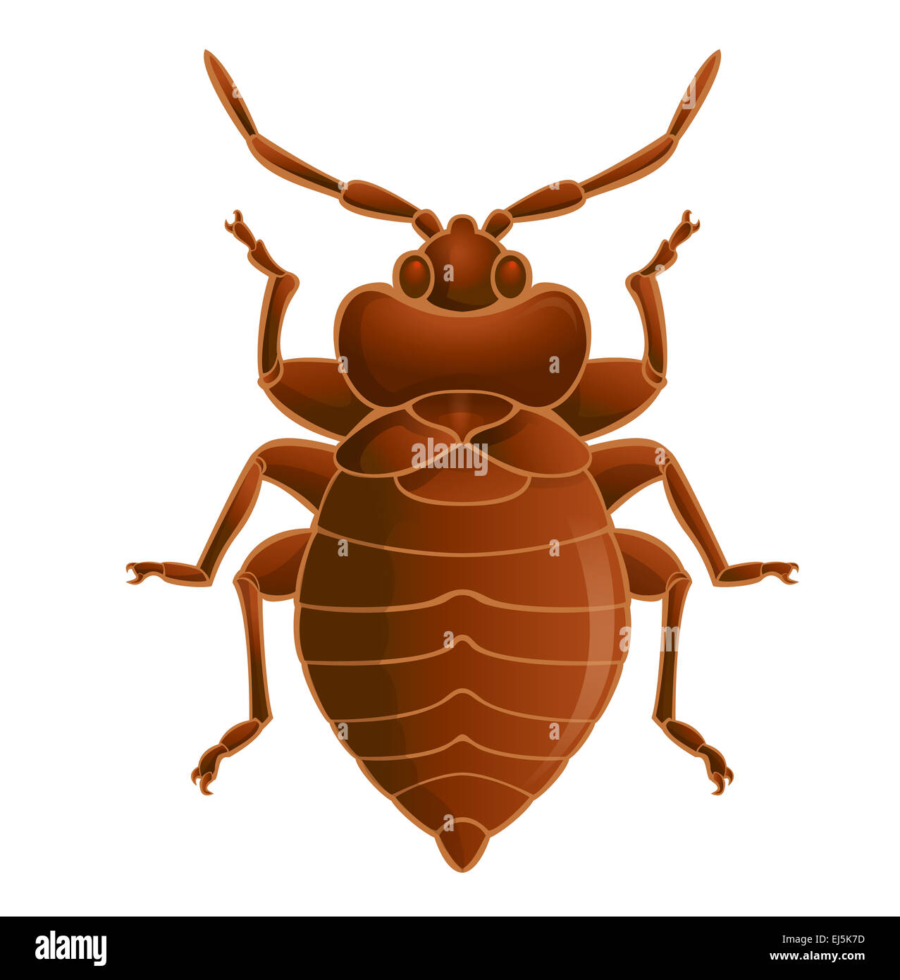 Immagine vettoriale di simbolo di bedbug marrone Foto Stock