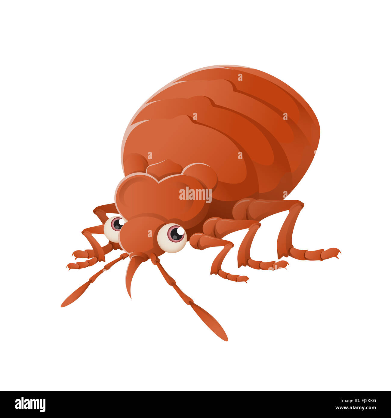 Immagine vettoriale di un arancione Bedbug cartoon Foto Stock