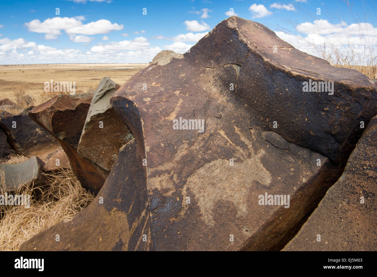 Incisione di roccia a GNU Kuil Rock-Art Center, Kimberley, Sud Africa Foto Stock